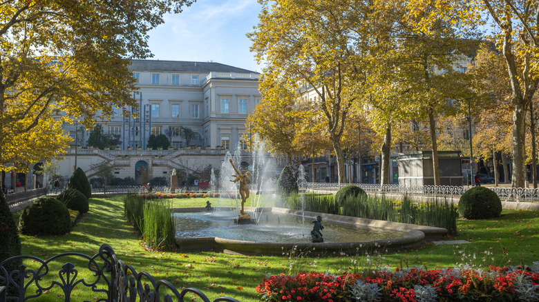 Statue of "Daphne changed into laurels" in Saint-Etienne