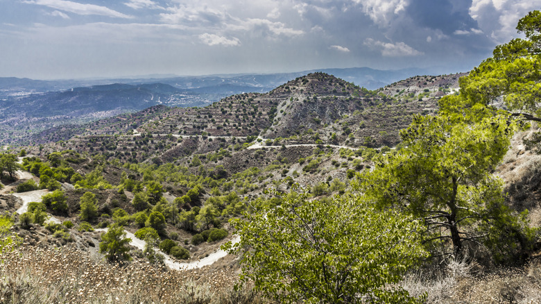 View of the Troodos Mountains in Cyprus
