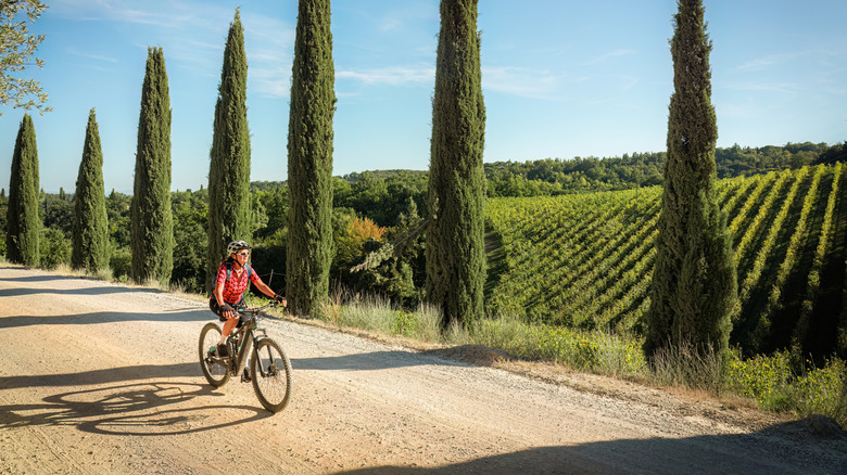 Woman riding her electric mountain bike in a cypress avenue