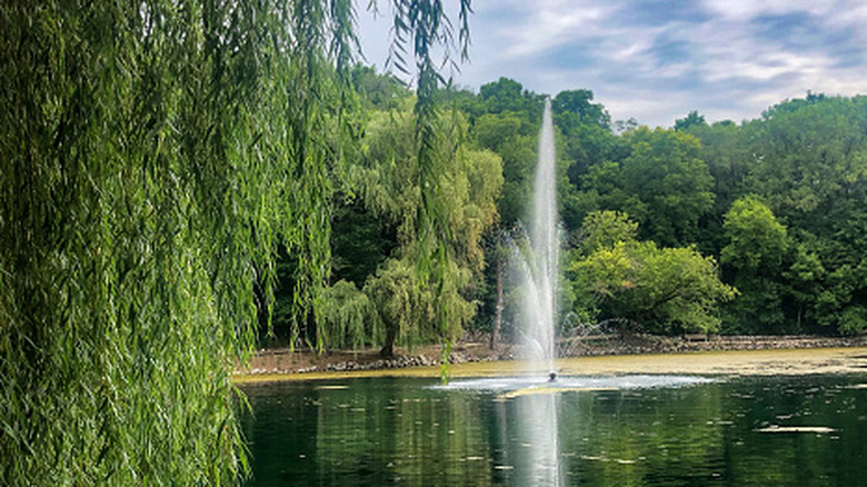 Pond and fountain at Rotary Botanical Garden in Janesville, Wisconsin