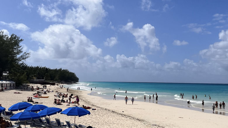 Paradise Beach in North Bimini