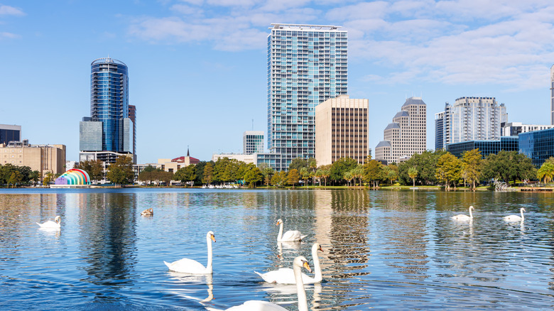 Lake Eola with swans and the Orlando skyline behind it