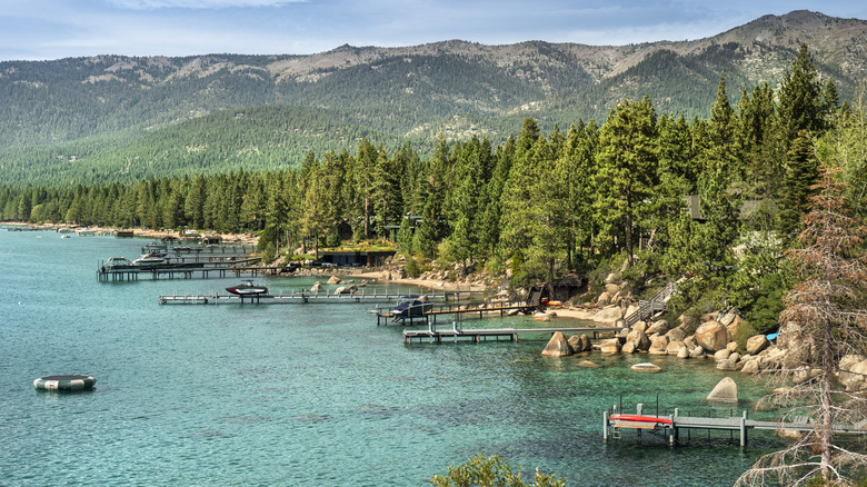 Blue waters and trees around Lake Tahoe in California