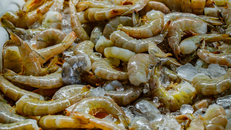 Gulf coast shrimp