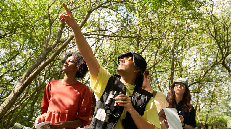 A group of birdwatchers