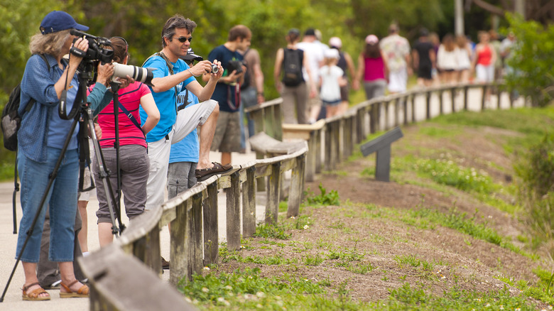 A line of birdwatchers