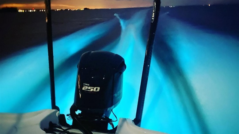 Boat jetting through blue bioluminescent waters at night