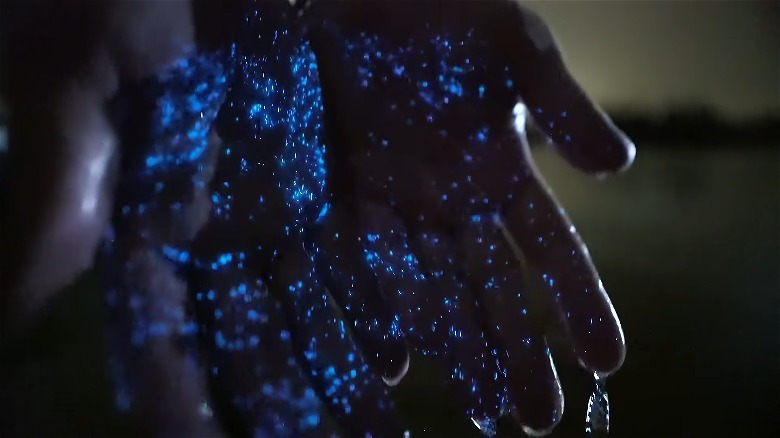 Hands sifting through bioluminescent waters with blue specks