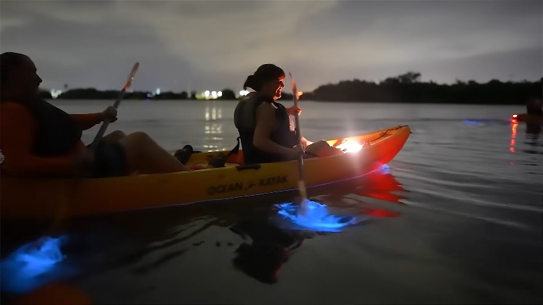 People kayak through blue bioluminescent water