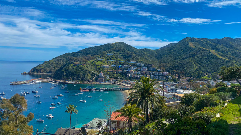 A harbor town below lush green hills on Catalina Island, California