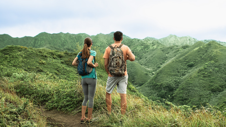 Hikers gaze over a lush valley in Hawaii