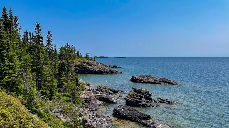 Trees line the shores of the Isle Royale National Park, Michigan