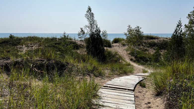 The Ice Age Trail at Point Beach State Forest