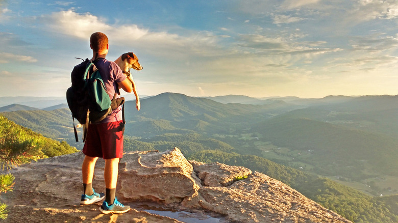 A dog and a hiker on the Appalachian Trail at sunset
