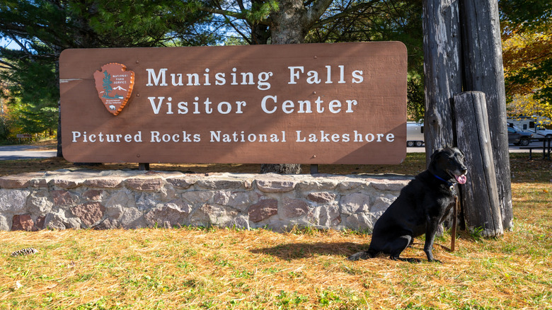 A dog poses at the visitor center sign for Pictured Rocks National Lakeshore
