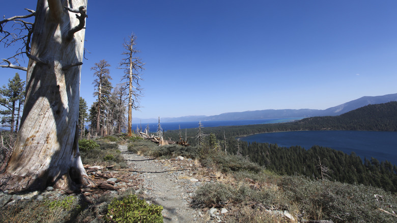 The Mount Tallac Trail overlooking Lake Tahoe