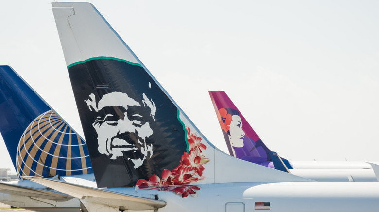 The tails of Alaska, Hawaiian, and United Airlines jets.