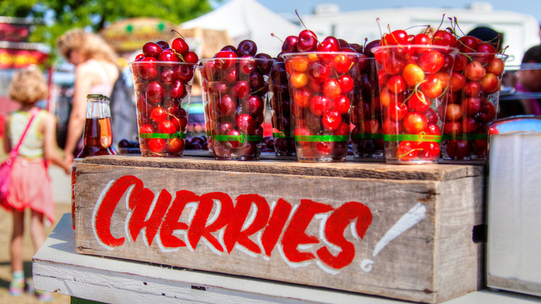 Cherries in Traverse City