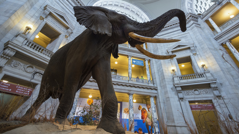 Smithsonian in DC