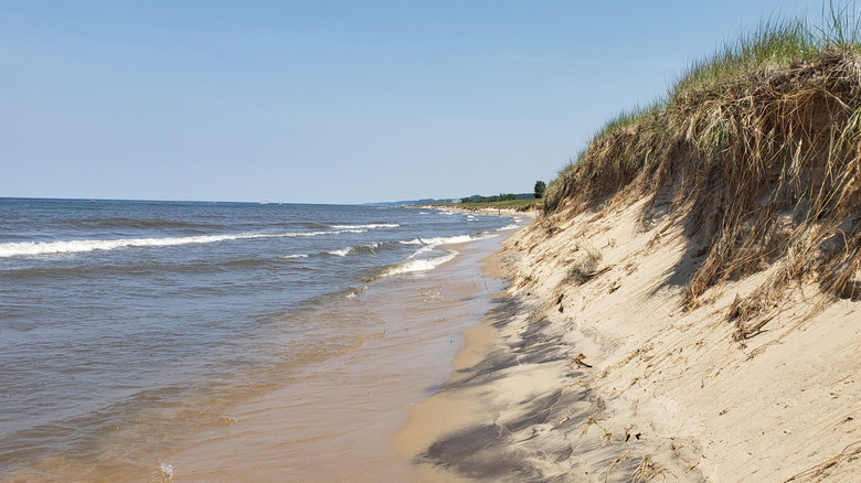 Sand dunes and the sandy beach of Oval Beach