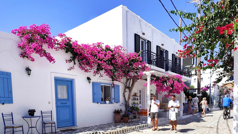 Cobblestone street with traditional white and blue Greek buildings on Antiparos island