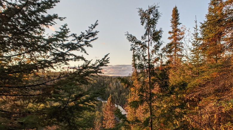 A rushing river at sunset, between trees and forest, at Judge C.R. Magney State Park