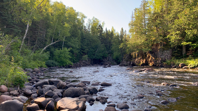 The rocky shore of the Brule River, lined with trees, at Judge C.R. Magney State Park in Minnesota