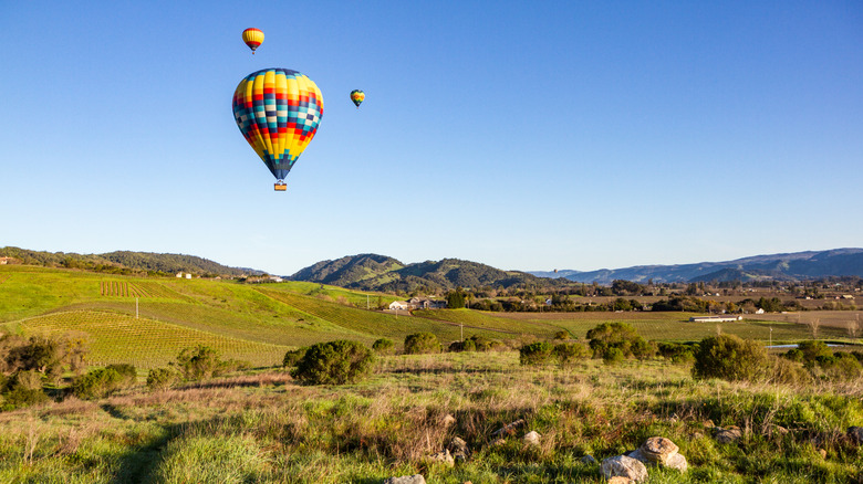 Hot air balloons over Napa Valley, USA