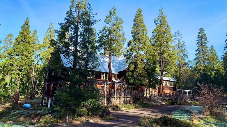 Exterior of Breitenbush Hot Springs Retreat surrounded by trees.