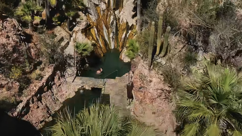 Hot springs pool surrounded by cacti and palms at Castle Hot Springs