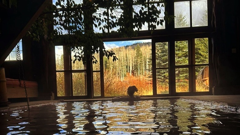Woman in hot spring pool at Dunton Hot Springs facing autumn trees.