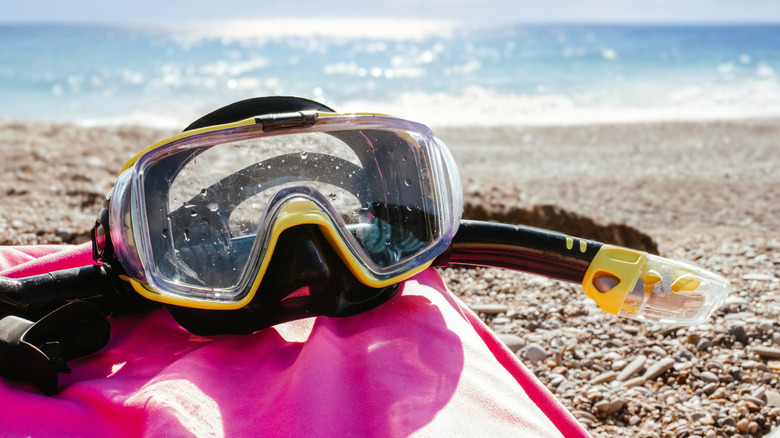 Snorkeling gear on the beach.