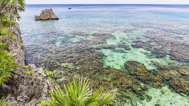 Palm trees on a cliff above the crystal clear waters of the Roatan reef in West Bay.