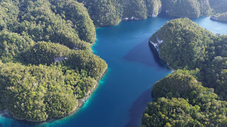 A drone view of Aljui Bay.