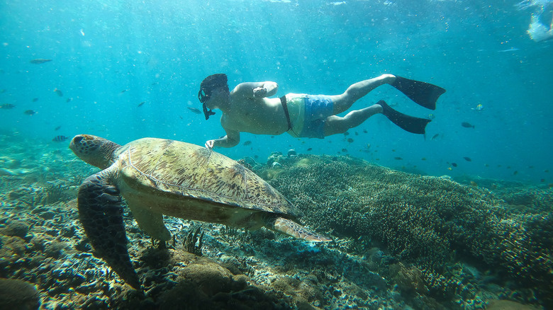 Snorkeler swimming alongside a sea turtle in the Gili Islands