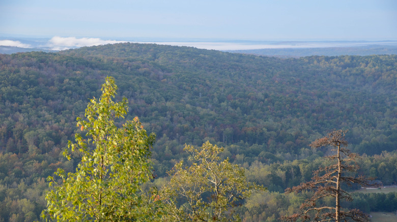 Morrow Mountain State Park views