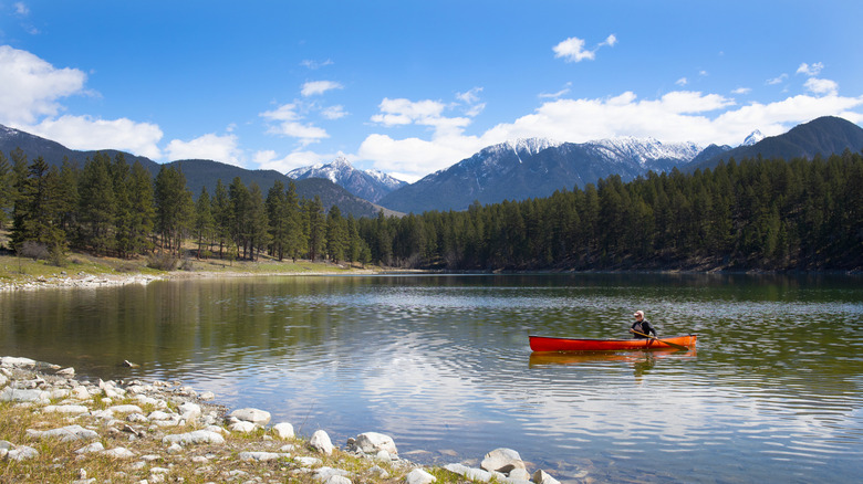 The Rocky Mountains in the distance from a Cranbrook regional lake.