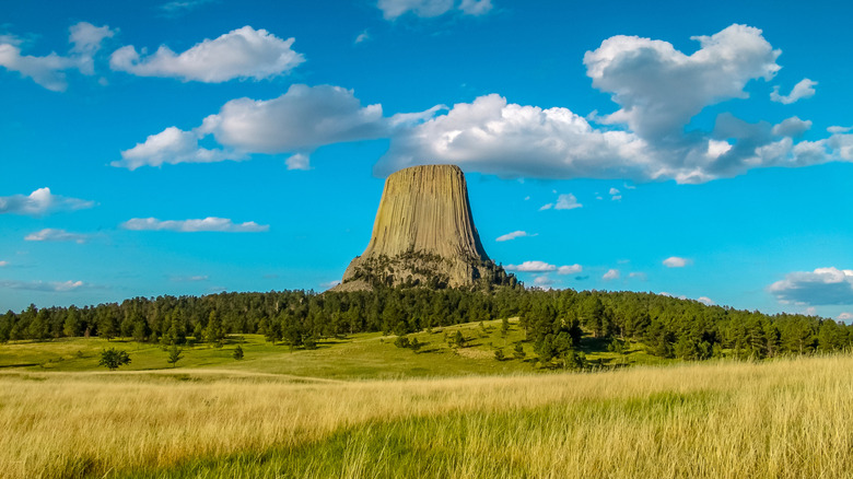 The Devils Tower landform at Devils Tower National Monument, Wyoming