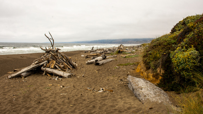 Manchester Beach State Park in Mendocino County, California