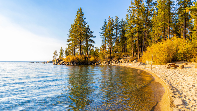 A sandy beach on the shores of Lake Tahoe in the fall.