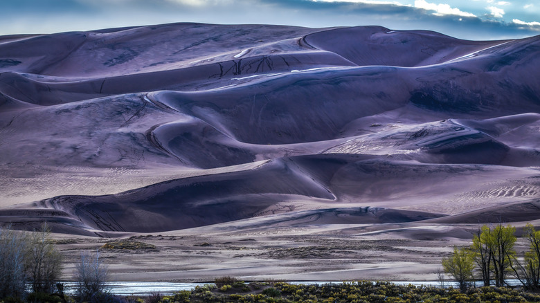 Great Sand Dunes National Park in the late afternoon.