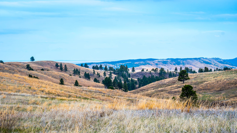 Sweeping landscapes at A formation of rocks in Wind Cave National Park.