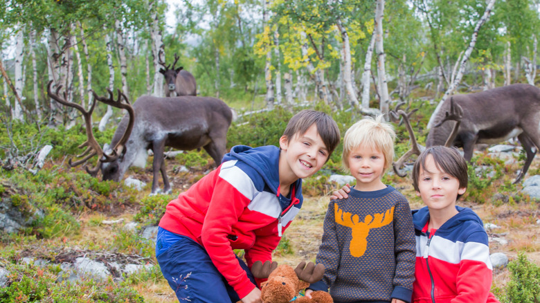Kids seeing reindeer at Denali National Park