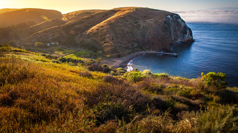 Santa Cruz Island