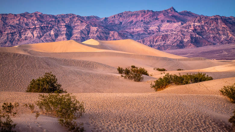 Death Valley National Park