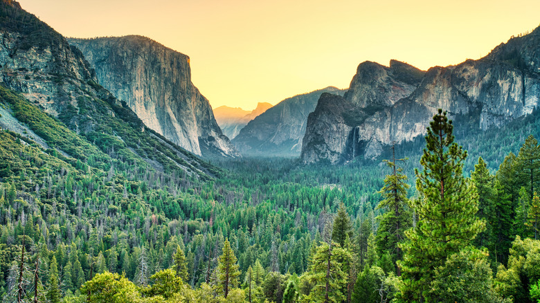 Yosemite National Park