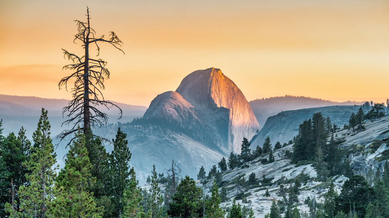 Half Dome