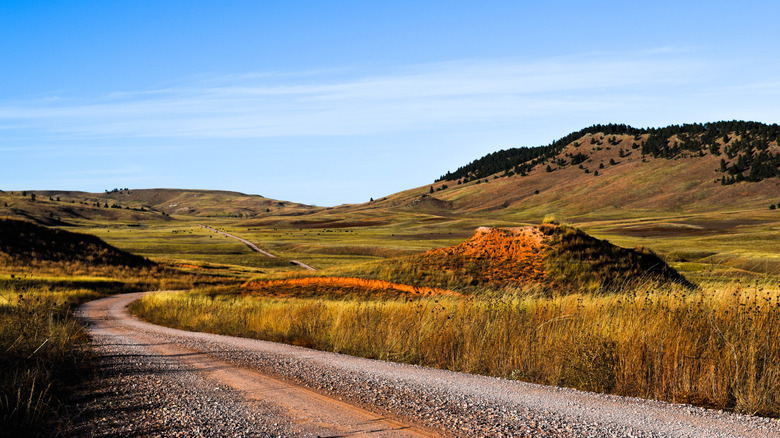 Prairie Road at Wind Cave National Park