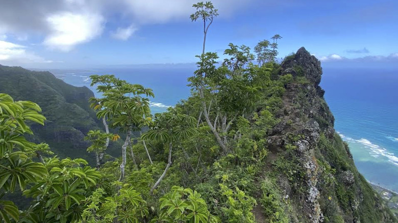A view from the Kahekili Ridge Trail