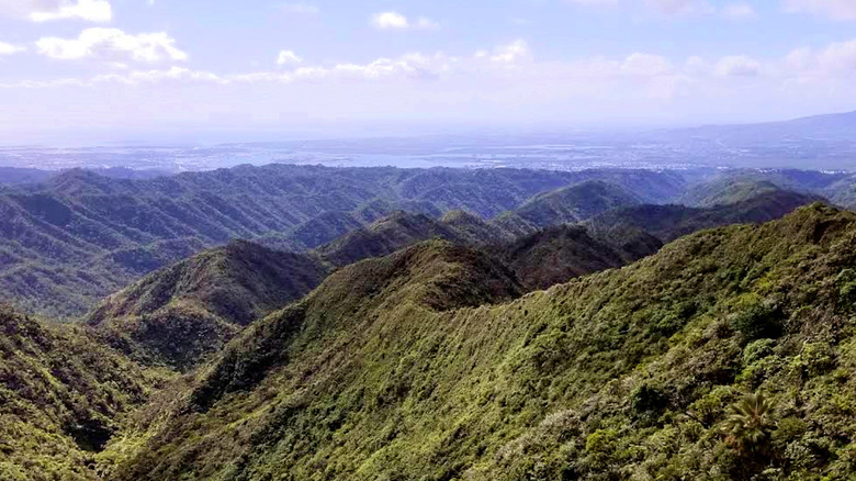 Looking back on the Mānana Ridge Trail